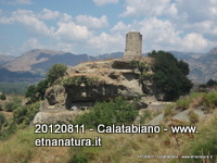 nnizzu-12-08-2012 10-29-20